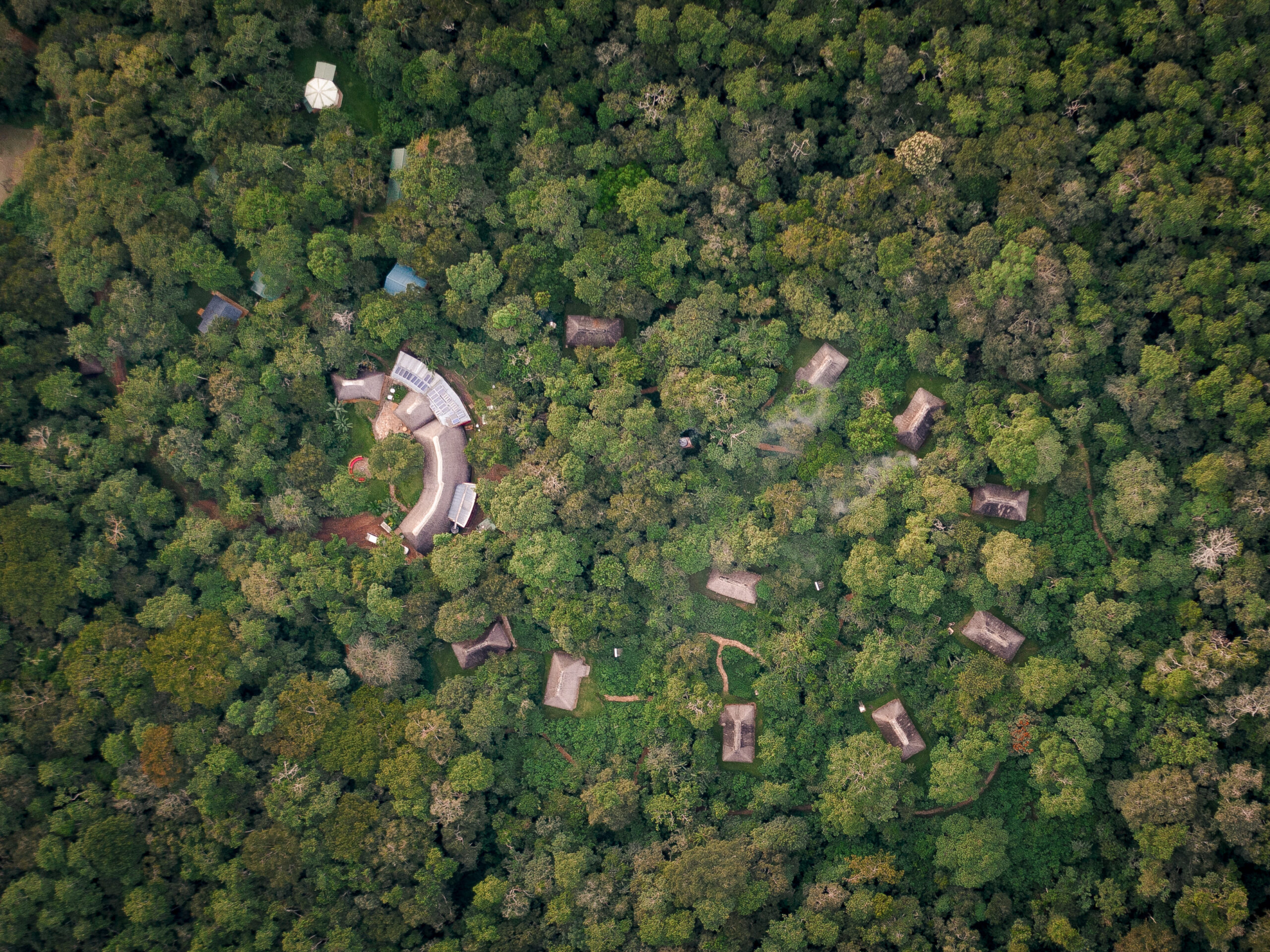 Luxury chimpanzee safari Africa