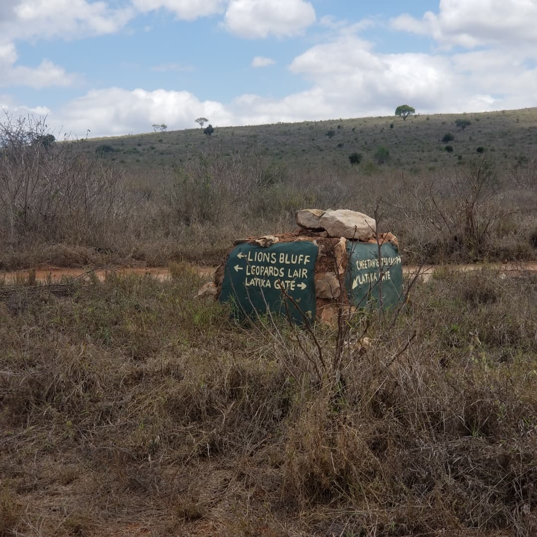 5 Days Amboseli and Tsavo Safari