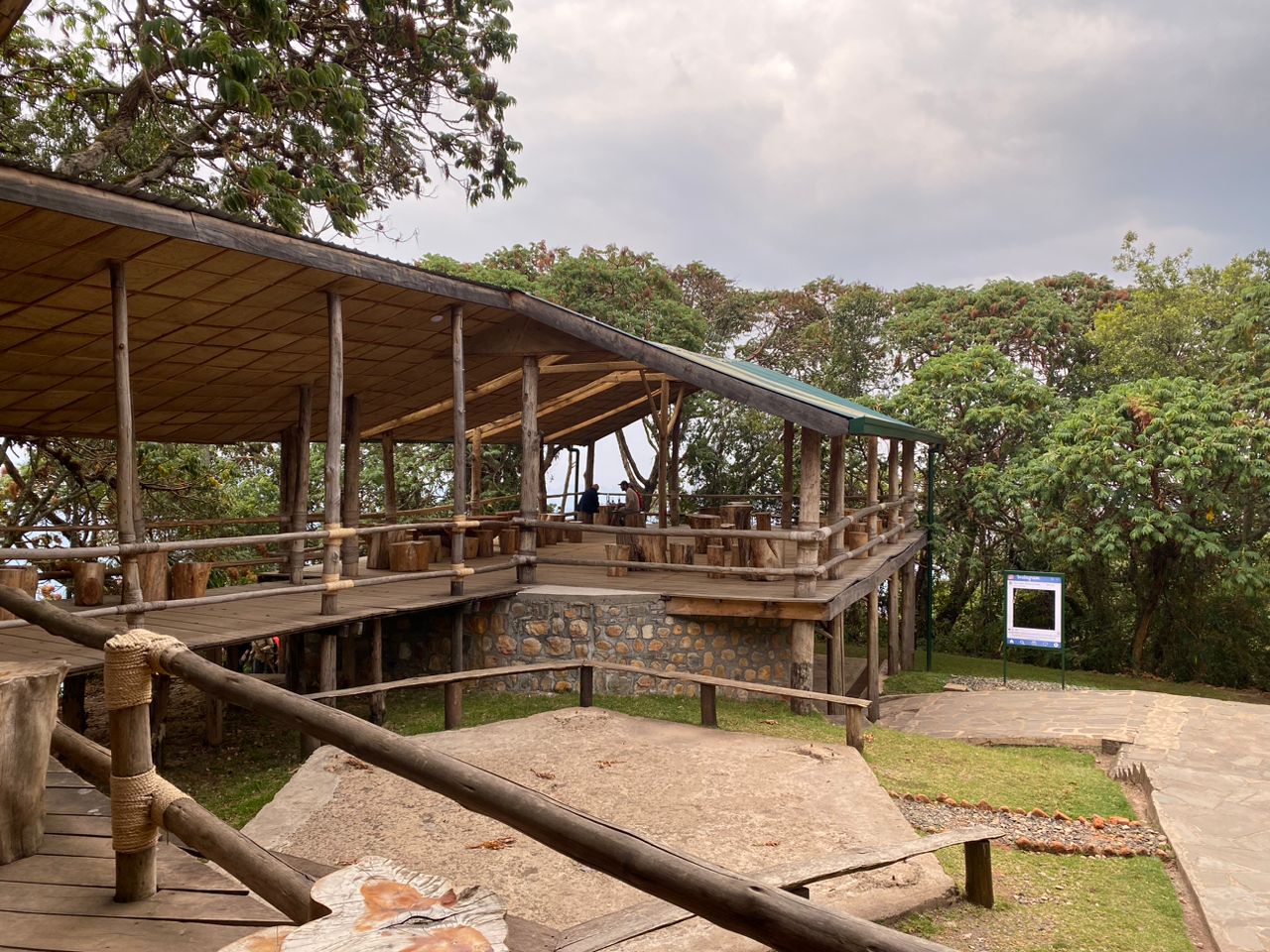 Nyungwe Forest canopy walkway Rwanda rainforest experience