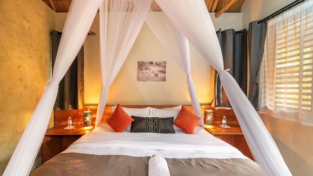 Luxury gorilla trekking holiday Africa