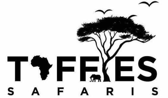Taffies Safaris logo