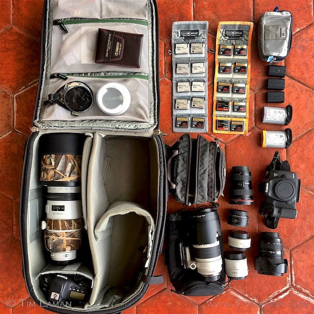 Wildlife photography safari in Kenya