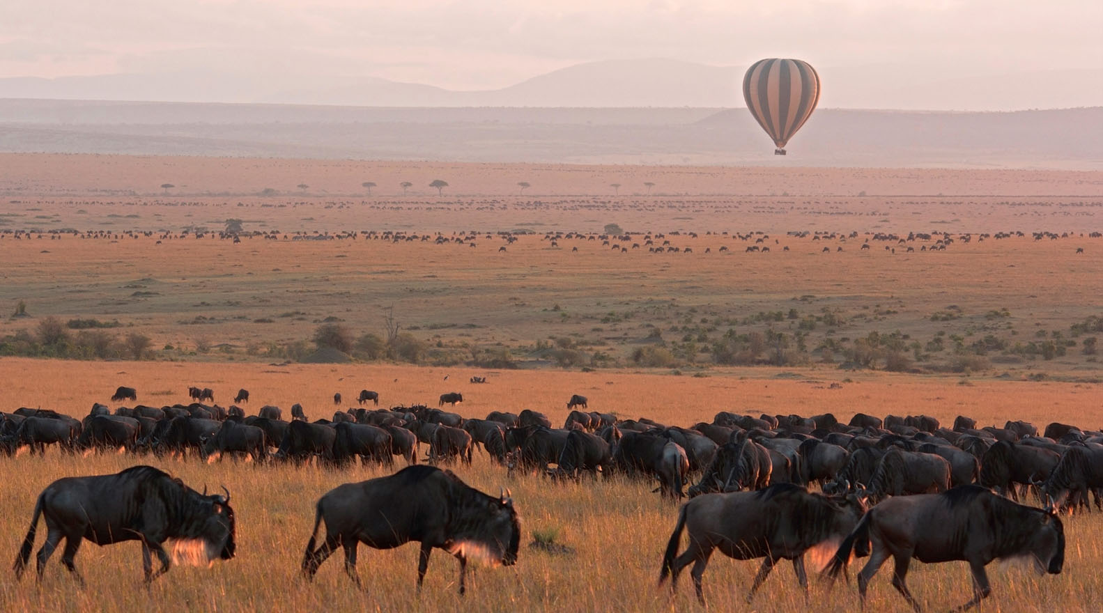 5 Days Serengeti Safari